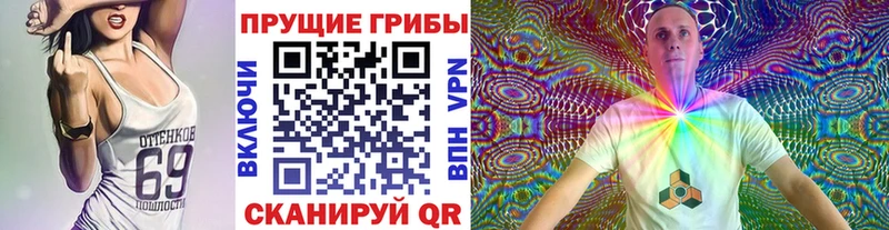 Галлюциногенные грибы Magic Shrooms  блэк спрут как зайти  Райчихинск  где продают  